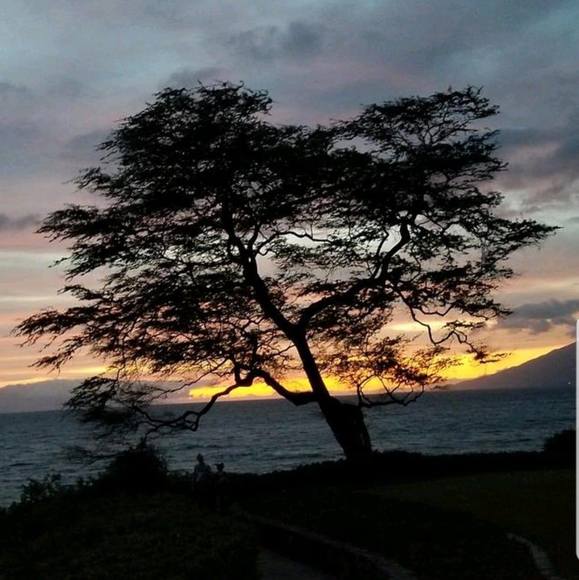 Meet your Posher, Cigi - Picture 1 of 1